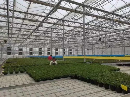 聚力高原特色园艺，筑牢实体经济根基——干部学习网培训赋能农业产业升级